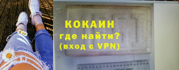 МДПВ Нея