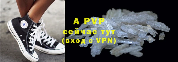 МДПВ Нея