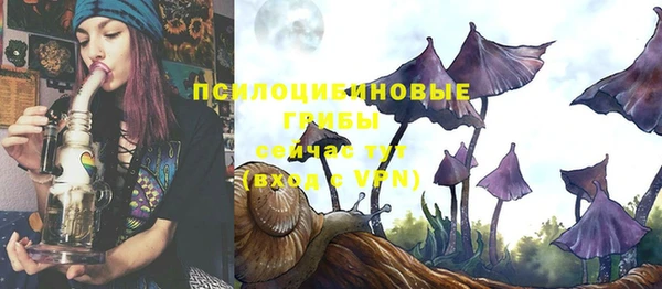 мескалин Нефтегорск