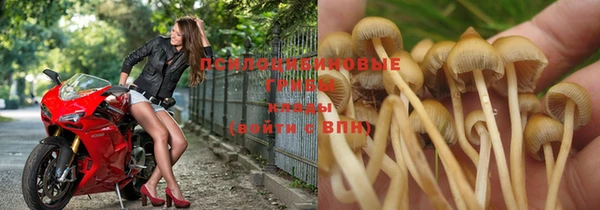 МДПВ Нея