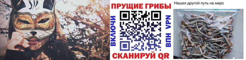 Галлюциногенные грибы мухоморы  Анива 